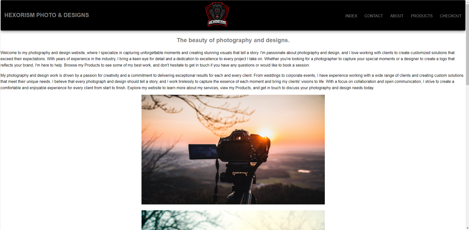 Screenshot of Project 2: Blog Website Template